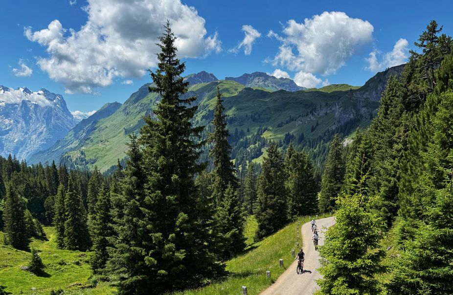 E-Bike tours