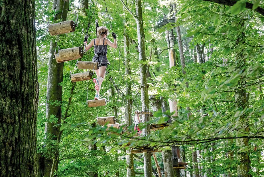 Adventure Park Interlaken.jpg Adventure Park Interlaken