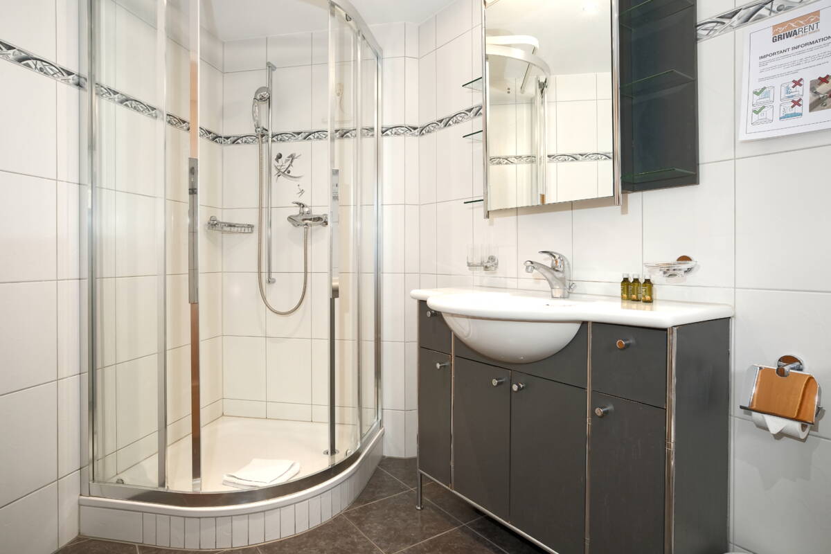 Apartment Chamonix - Grindelwald - GRIWA RENT