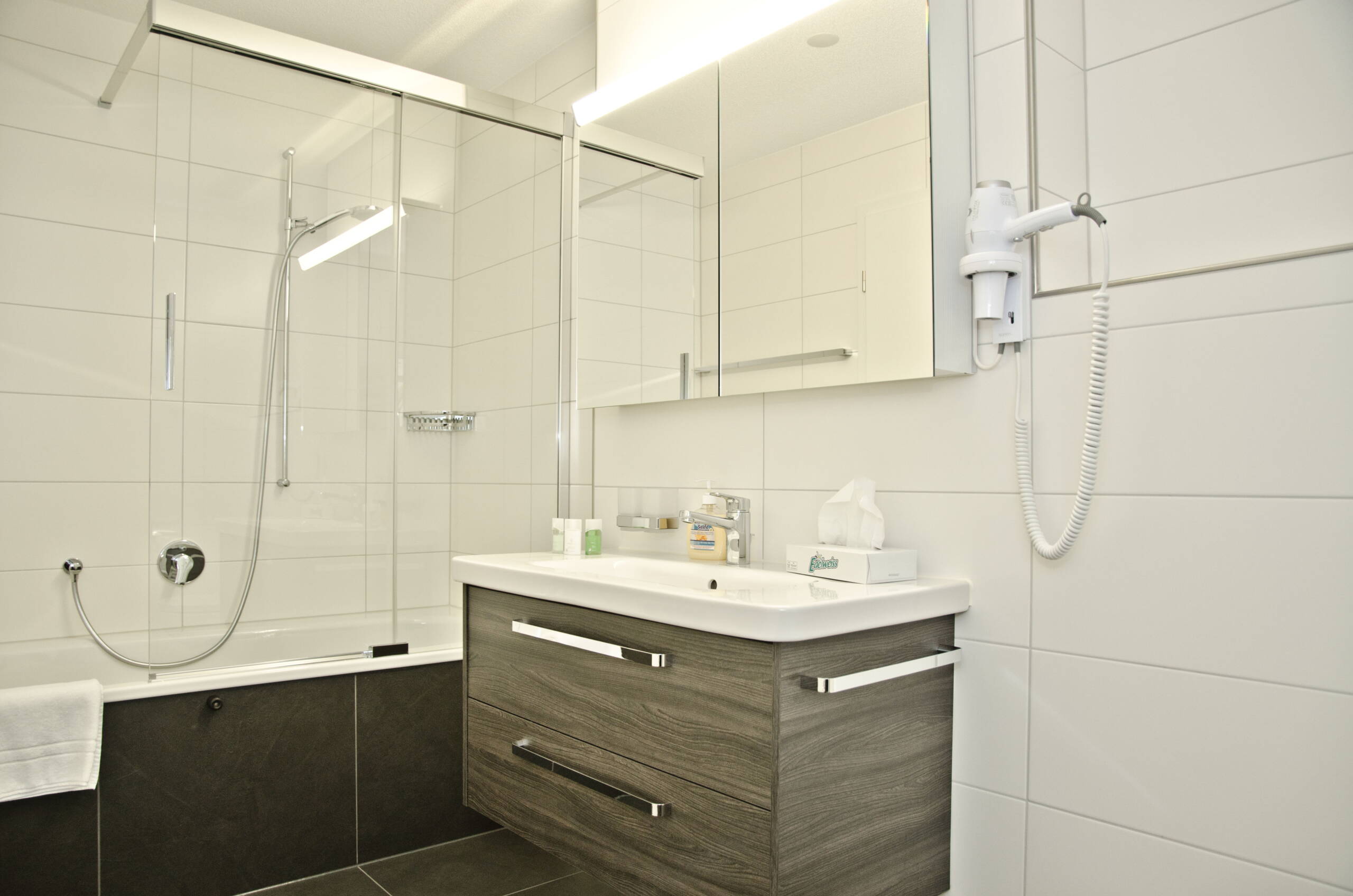 Apartment Alperose - Interlaken - GRIWA RENT 