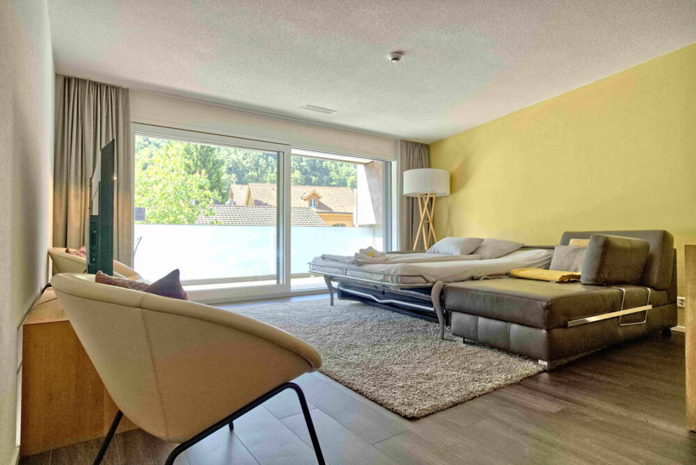 Apartment Gänseblüemli - Interlaken - GRIWA RENT 