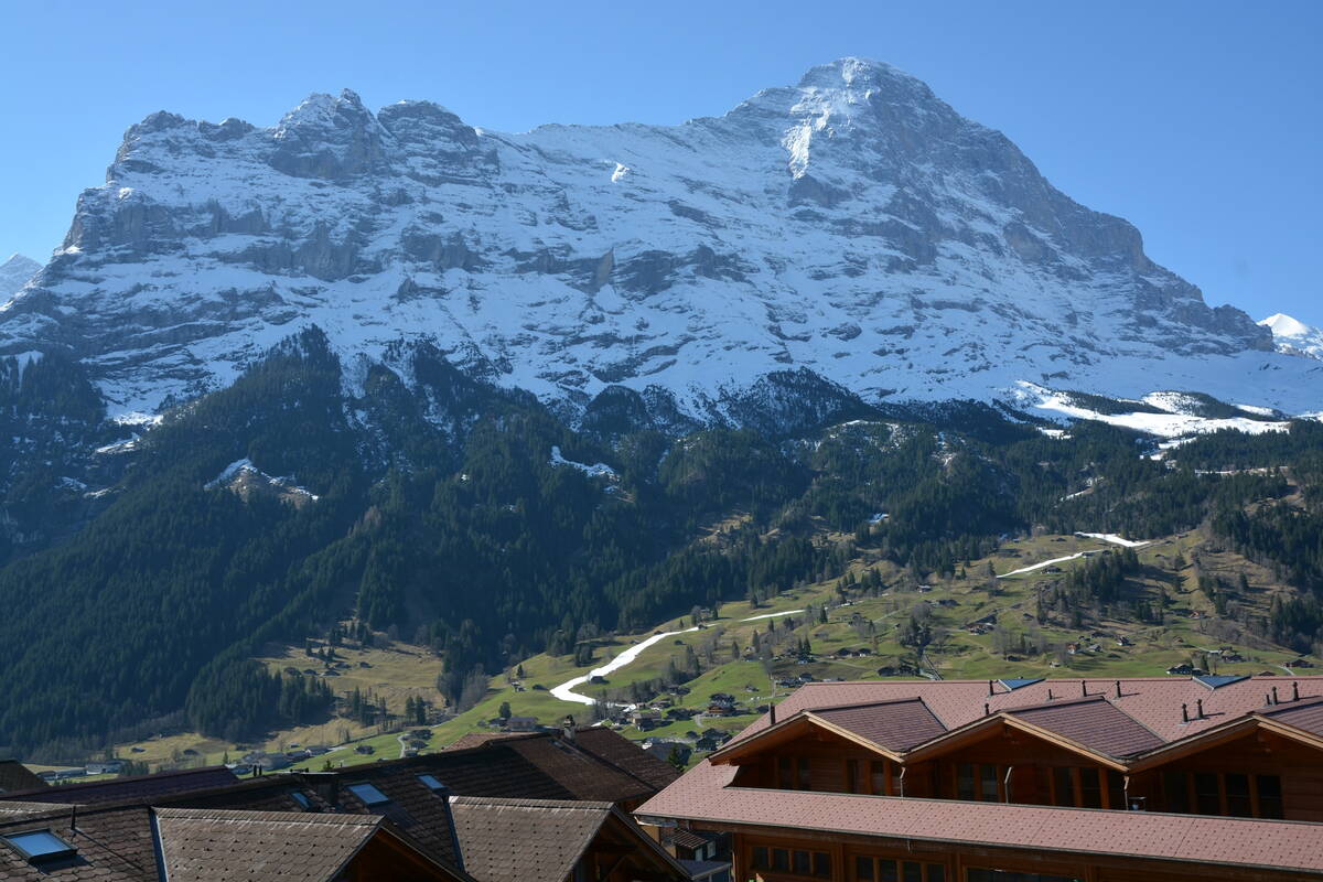 GRIWA RENT - Apartment Brunnen - Grindelwald