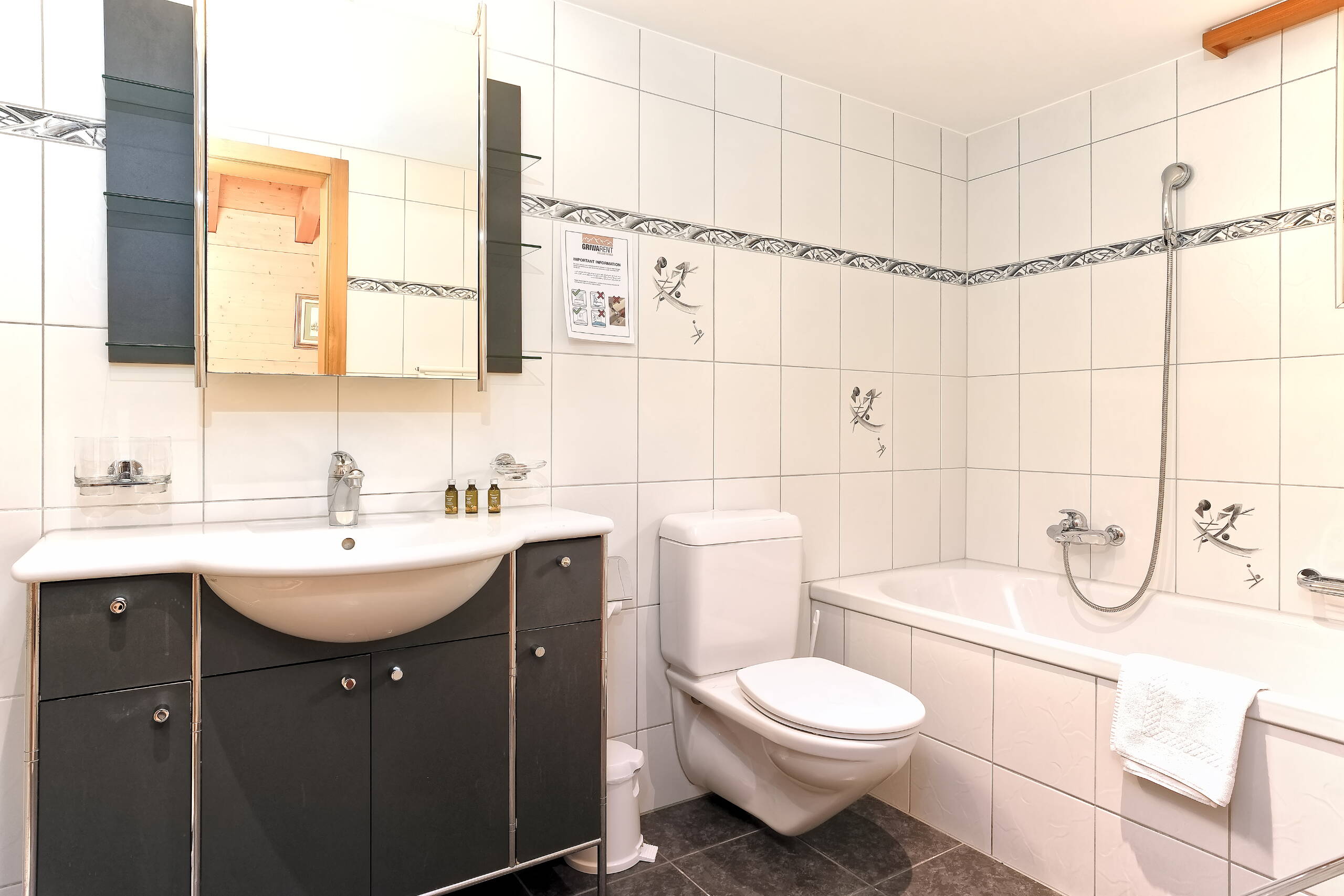 Apartment Chamonix - Grindelwald - GRIWA RENT 