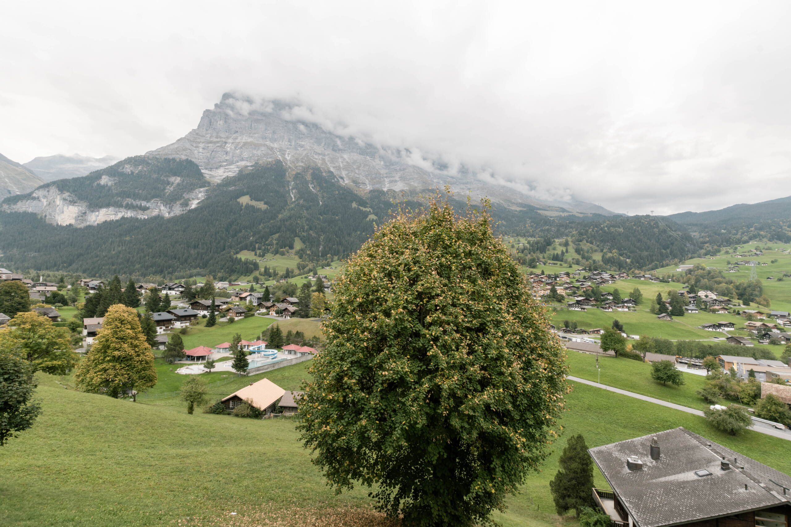 Apartment Perle - Grindelwald - GRIWA RENT 