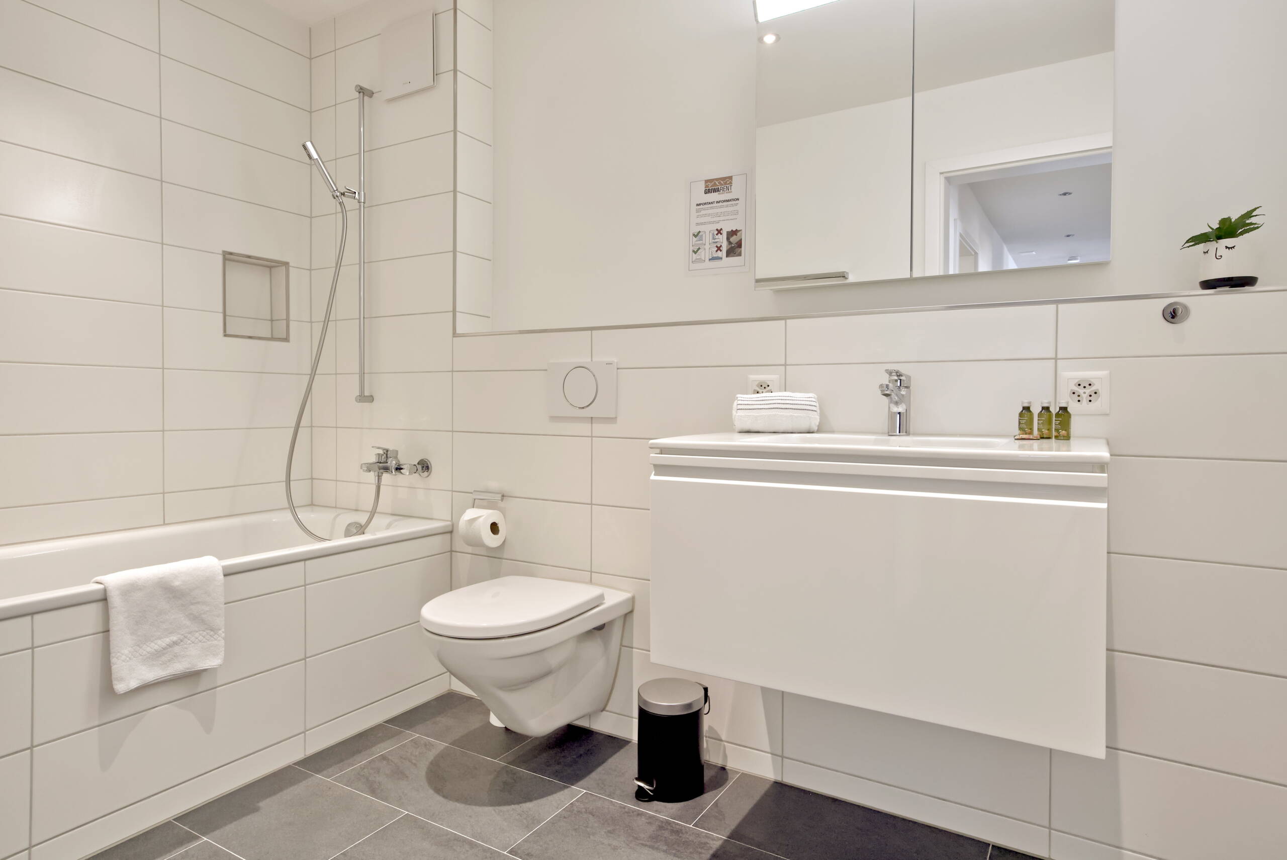 Apartment Alpine City 1 - Interlaken - GRIWA RENT 