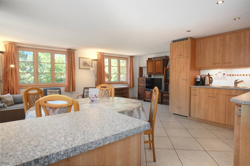 Apartment Strassscheuer - Grindelwald - GRIWA RENT 