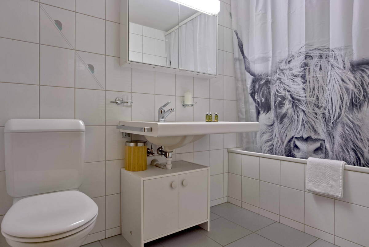 GRIWA RENT - Apartment - Grindelwald