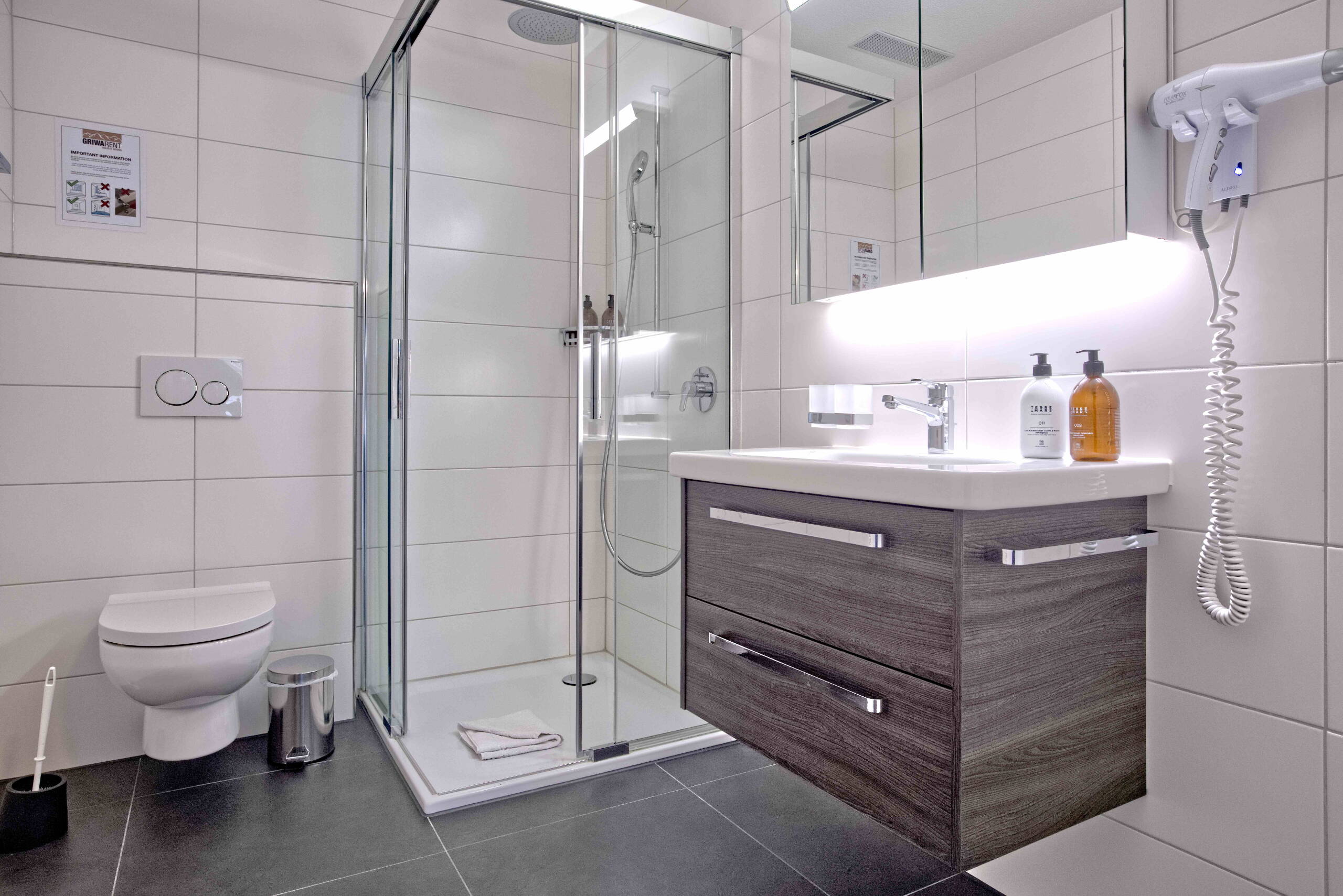 Apartment Anemone - Interlaken - GRIWA RENT 