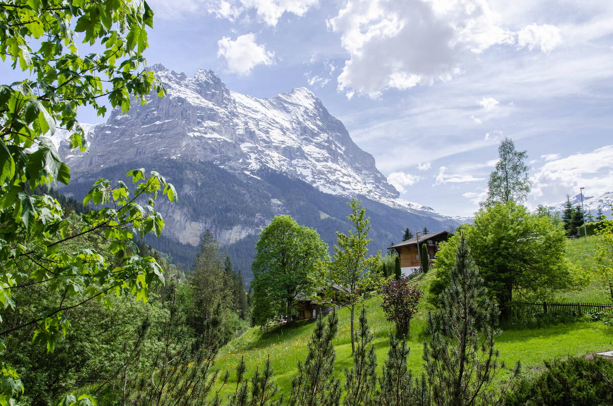 GRIWA RENT - Apartment Mühlegaden 3.5 - Grindelwald