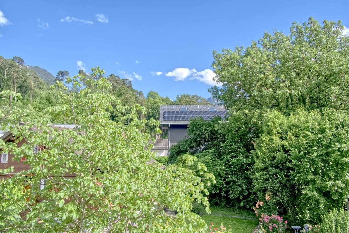 Apartment Flüehblüemli - Interlaken - GRIWA RENT