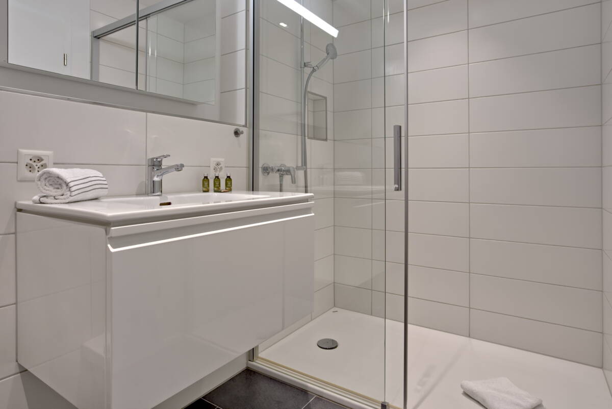 Apartment Alpine City 1 - Interlaken GRIWA RENT 