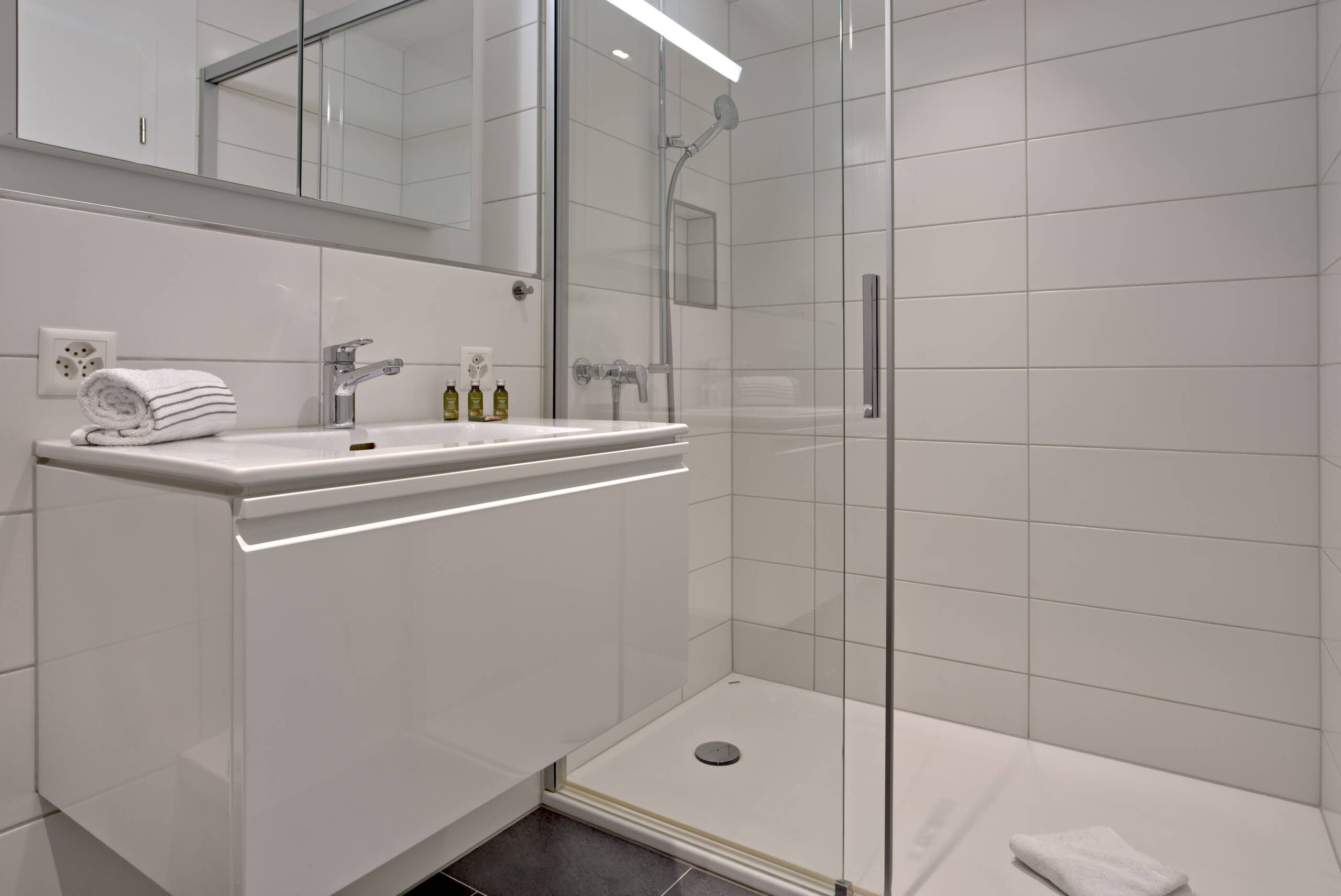 Apartment Alpine City 1 - Interlaken GRIWA RENT 