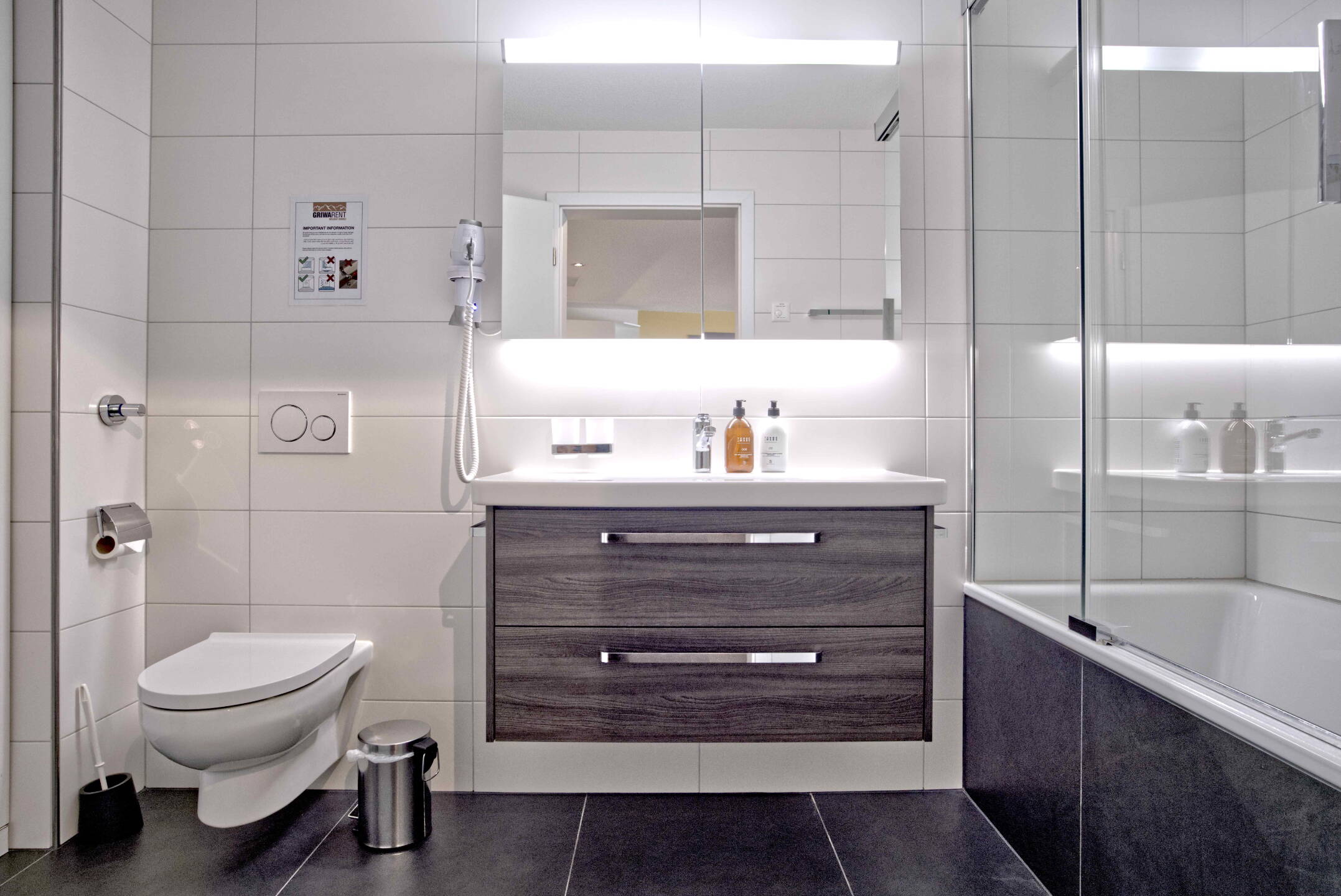 Apartment Gänseblüemli - Interlaken - GRIWA RENT 