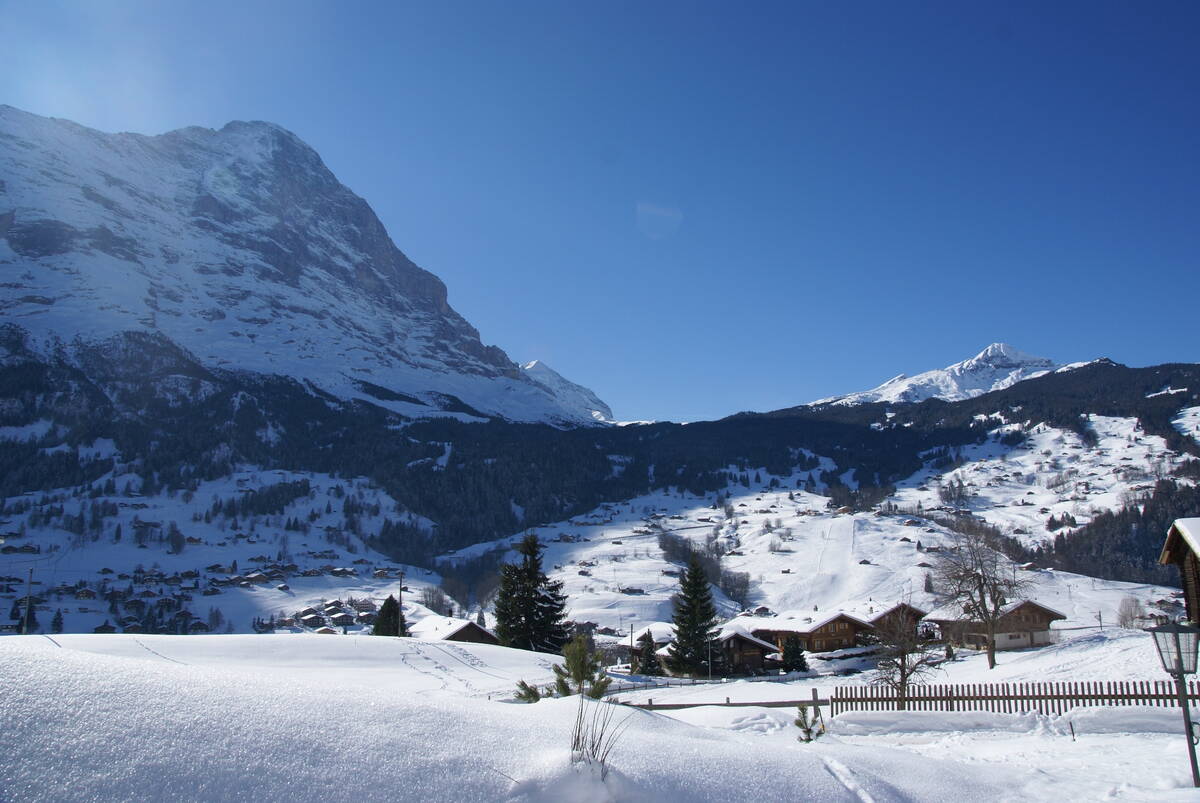 GRIWA RENT - Apartment Bärgrose - Grindelwald