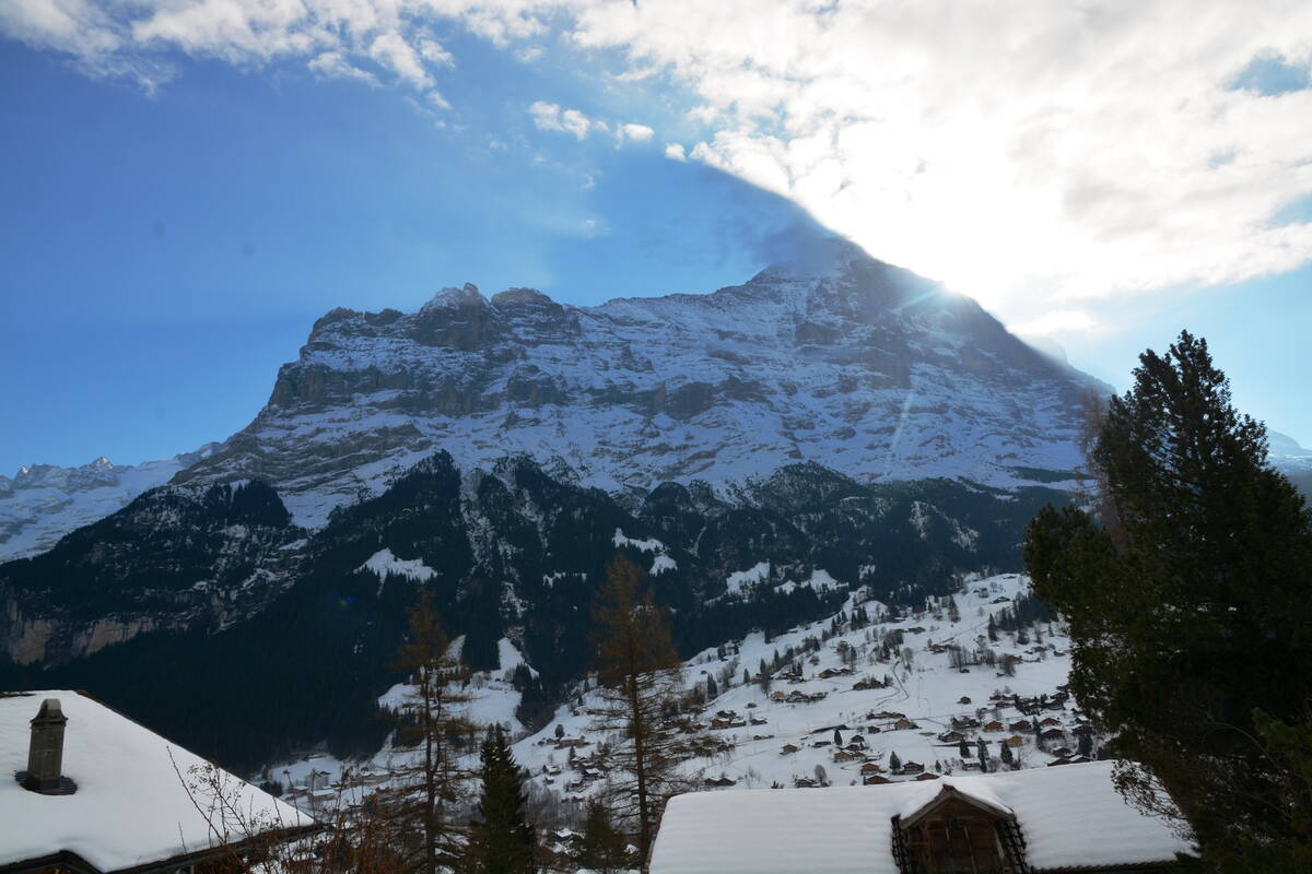 GRIWA RENT - Apartment Delta - Grindelwald