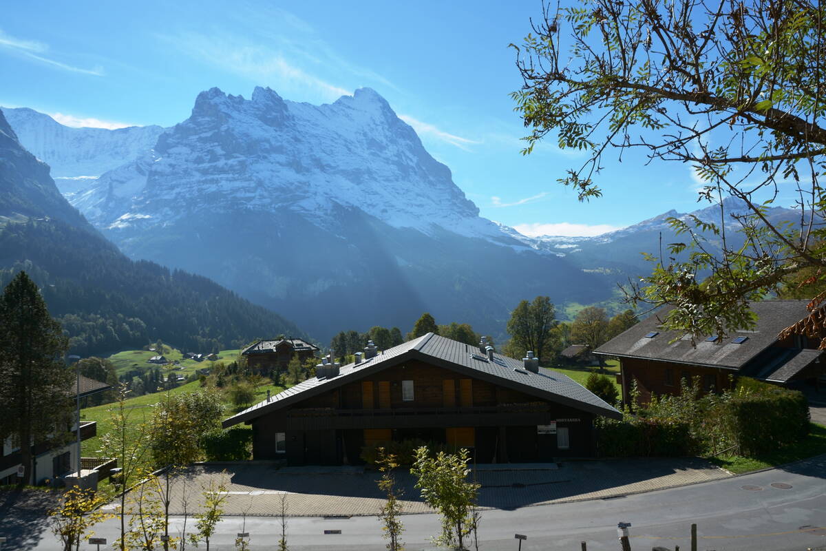 GRIWA RENT - Apartment Schönegg - Grindelwald