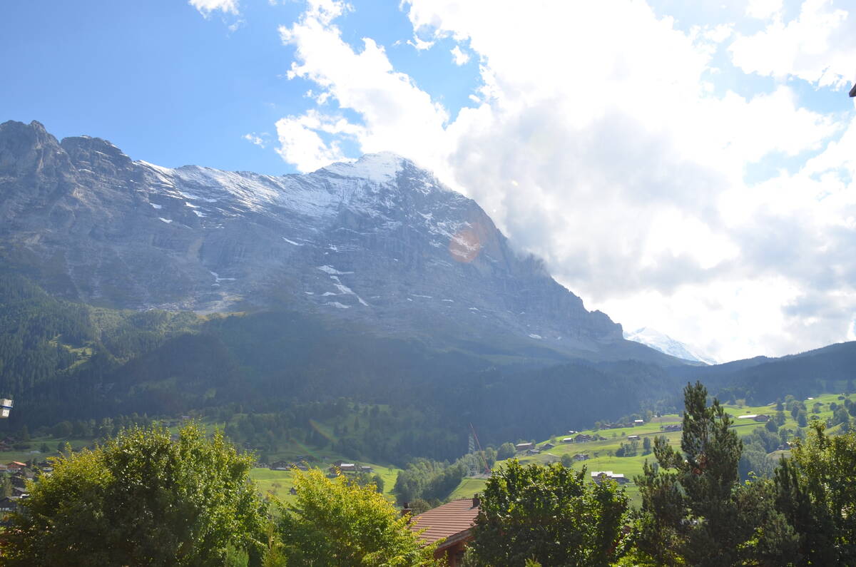 GRIWA RENT - Apartment Strassscheuer - Grindelwald