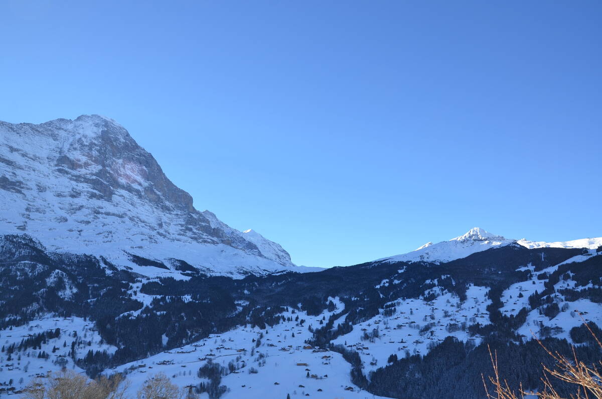 GRIWA RENT - Apartment Paradise - Grindelwald