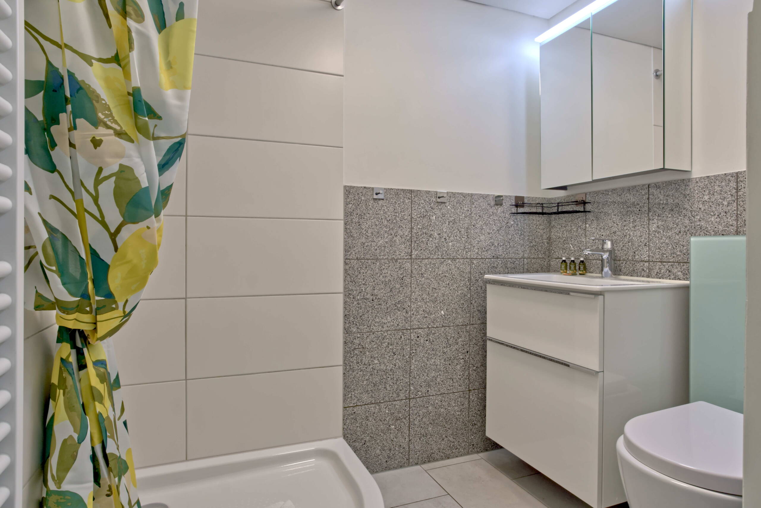 Apartment Stella 1 - Interlaken - GRIWA RENT 