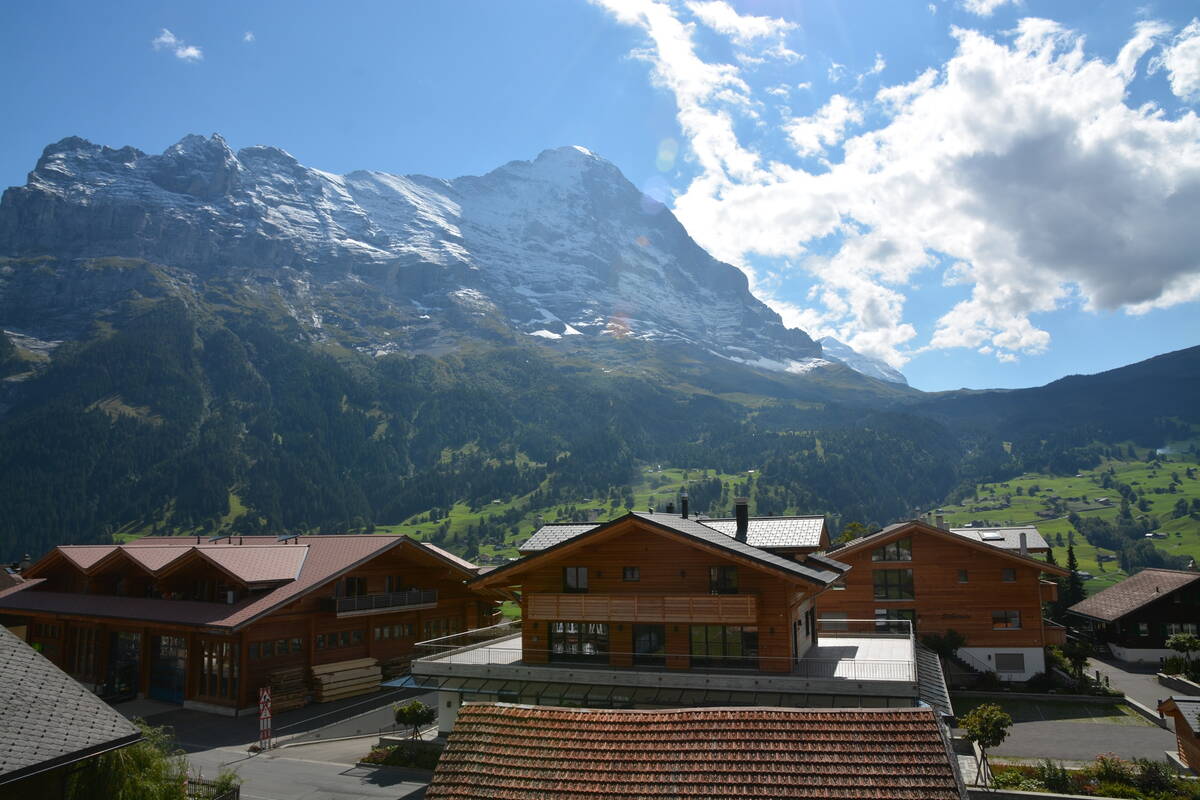 GRIWA RENT - Apartment Brunnen - Grindelwald