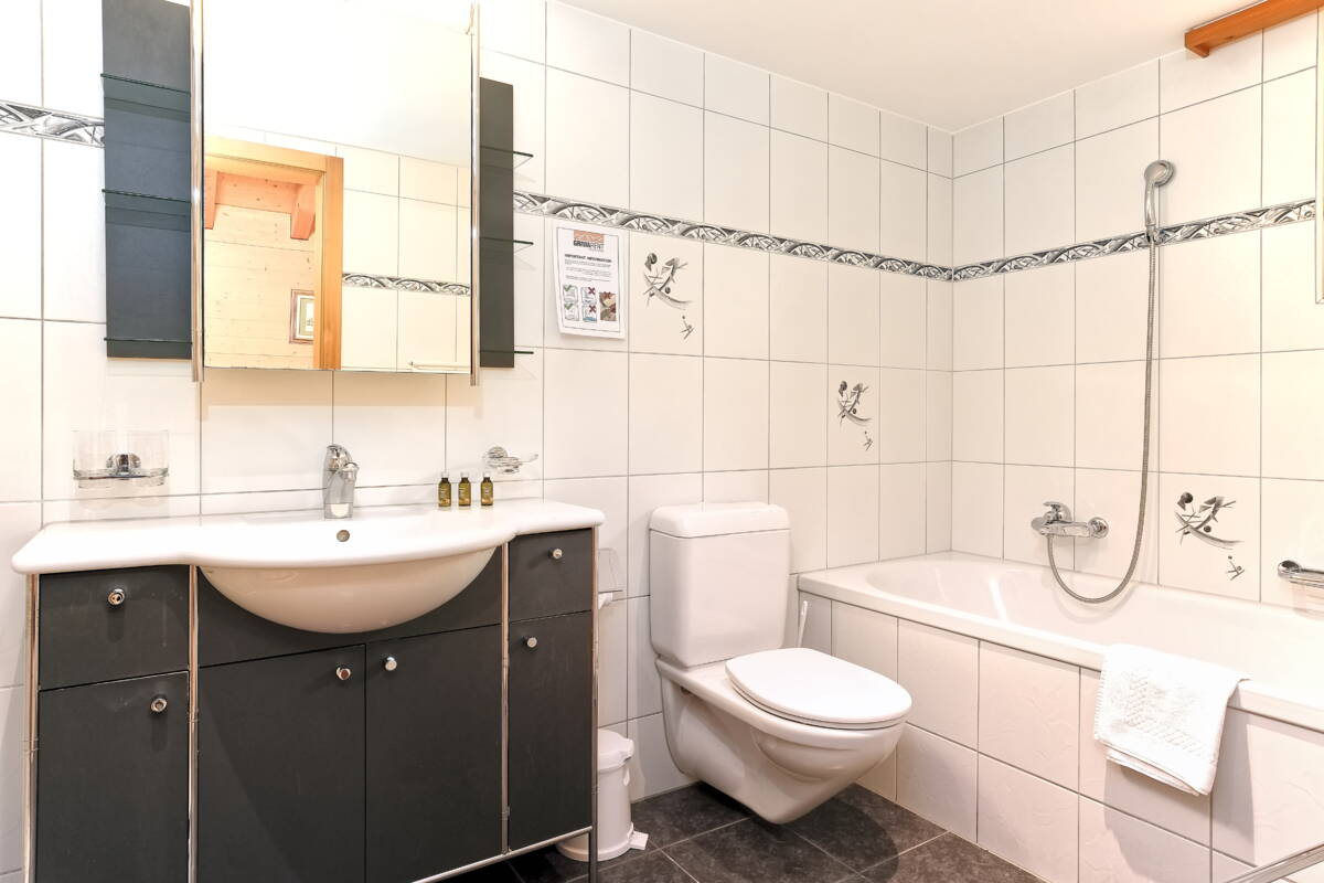 Apartment Chamonix - Grindelwald - GRIWA RENT