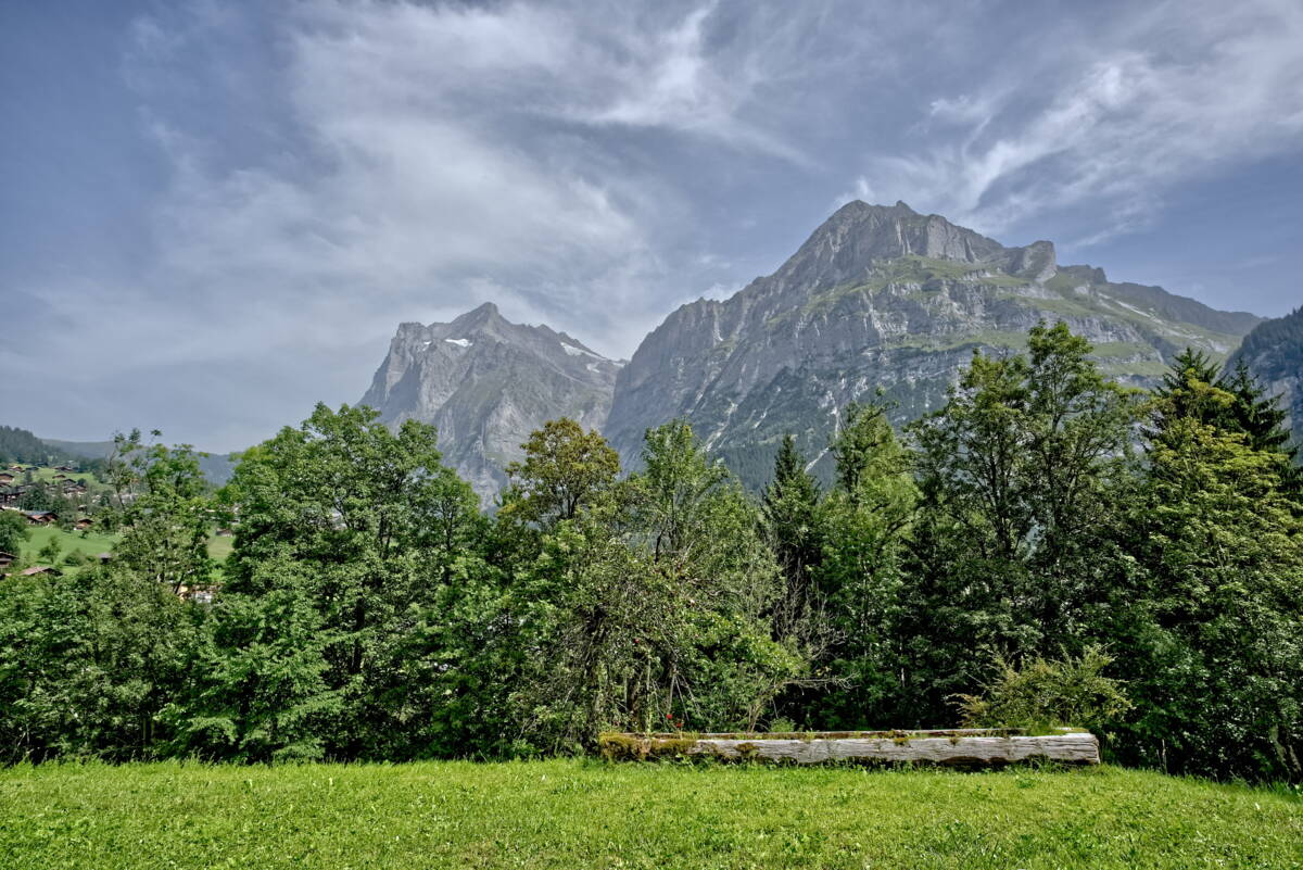 Apartment Bellavista - Grindelwald - GRIWA RENT 