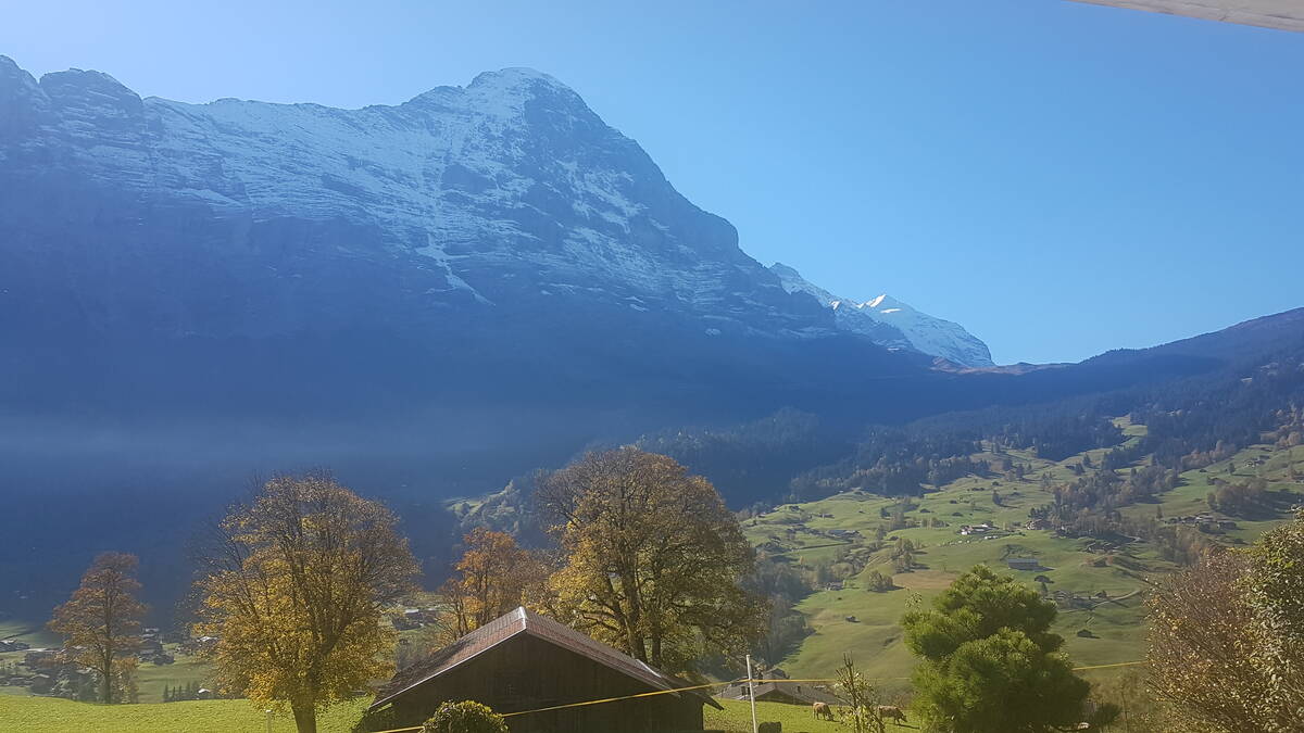 GRIWA RENT - Apartment Schneerose - Grindelwald