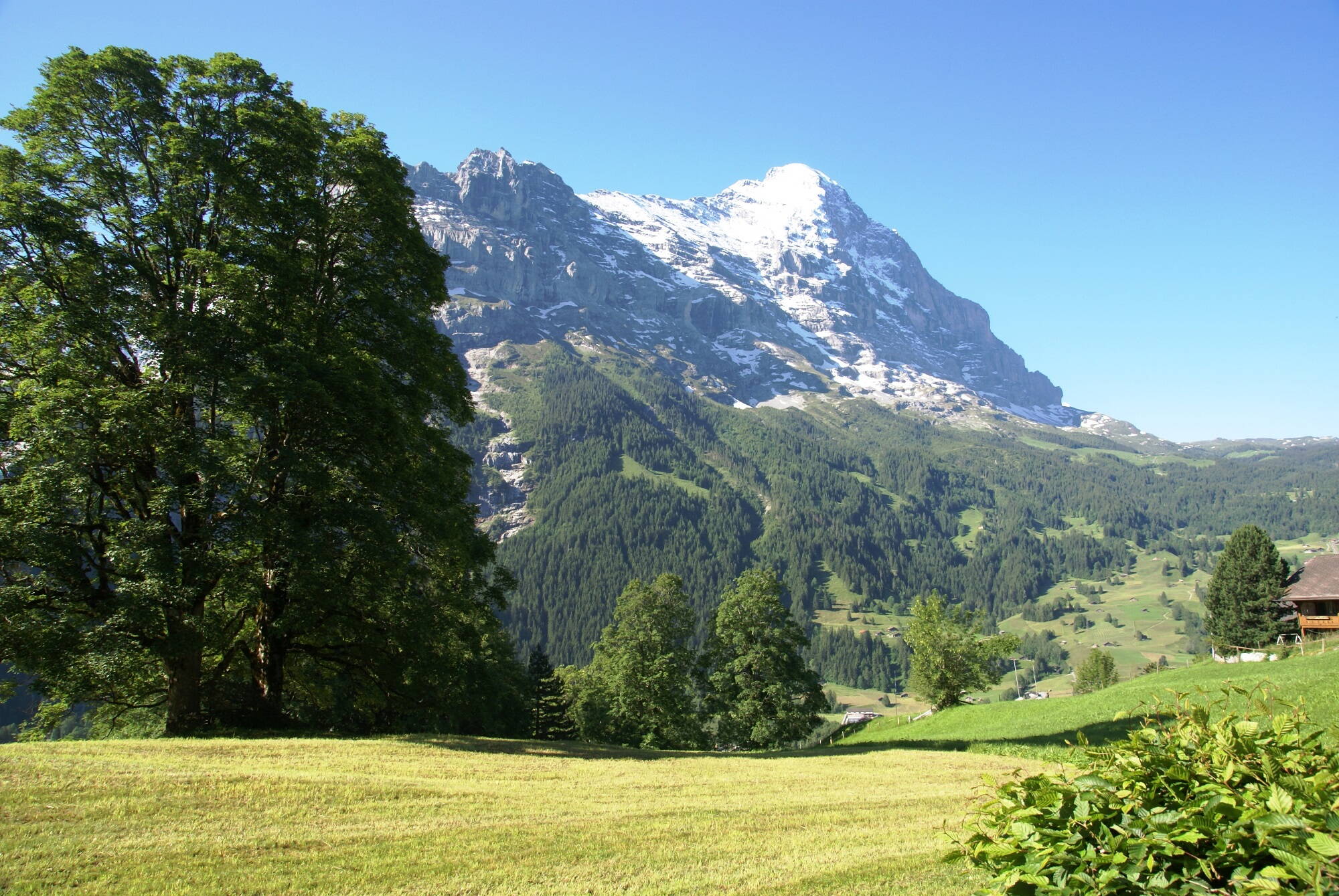 GRIWA RENT - Apartment Nussbaum - Grindelwald