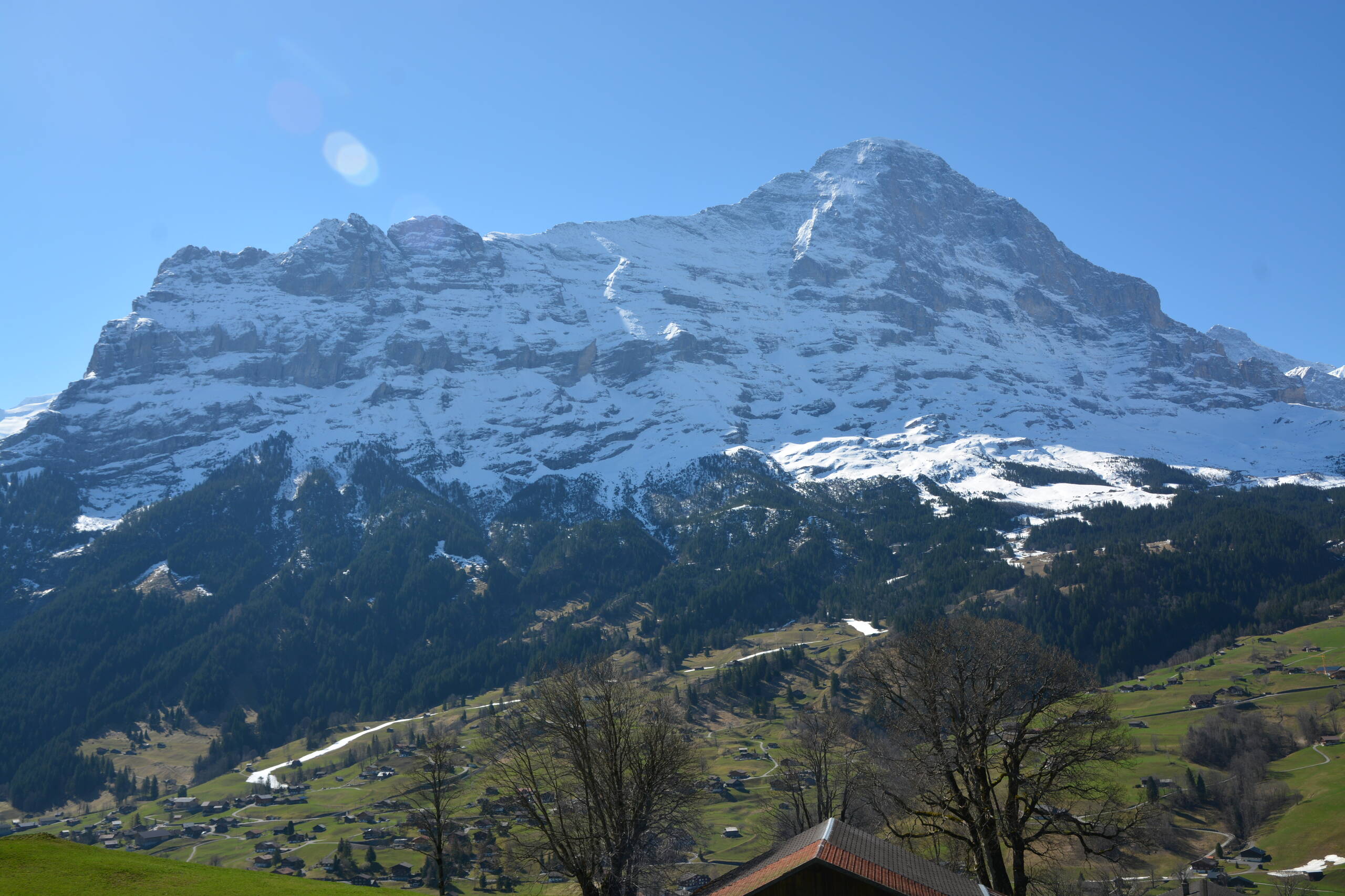 GRIWA RENT - Apartment Schneerose - Grindelwald