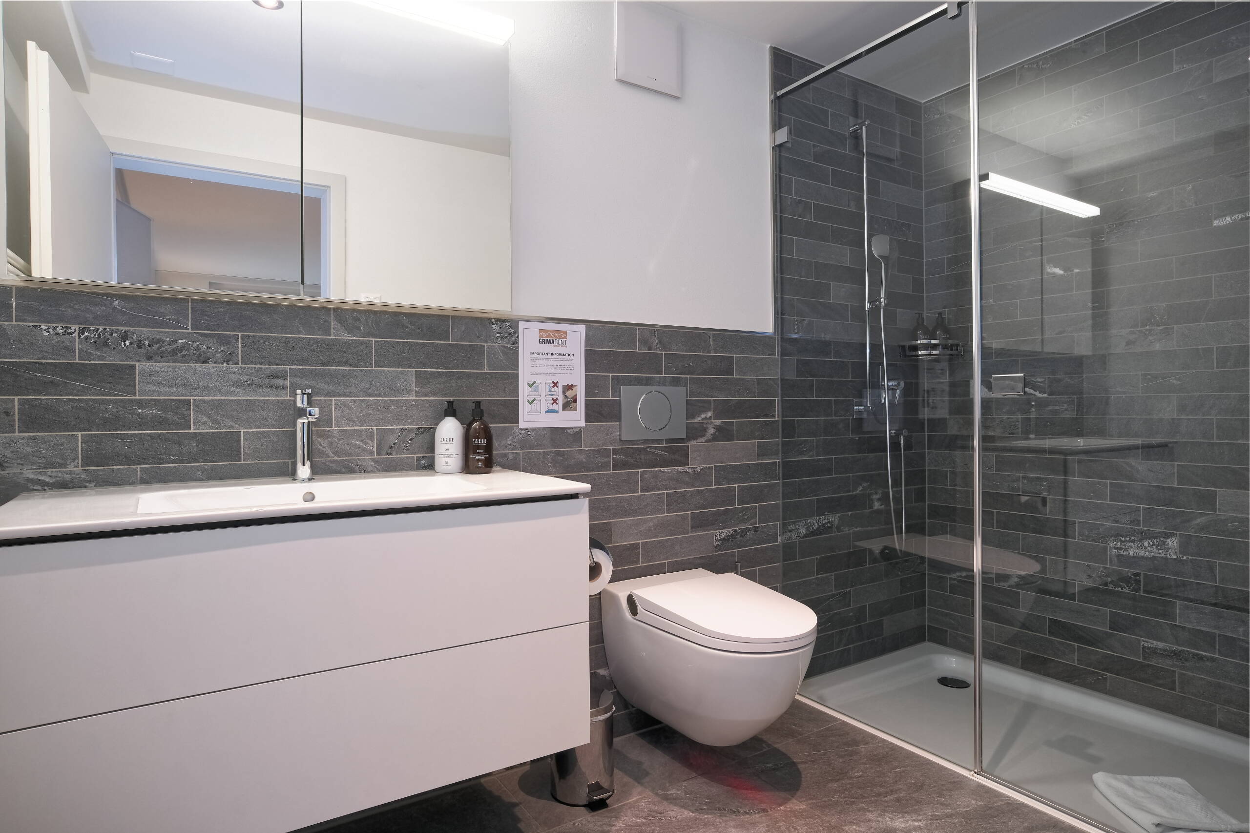 Apartment Jungfraucenter Roteflue - Interlaken - GRIWA RENT 