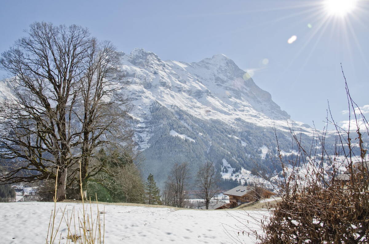 GRIWA RENT - Apartment Nussbaum - Grindelwald