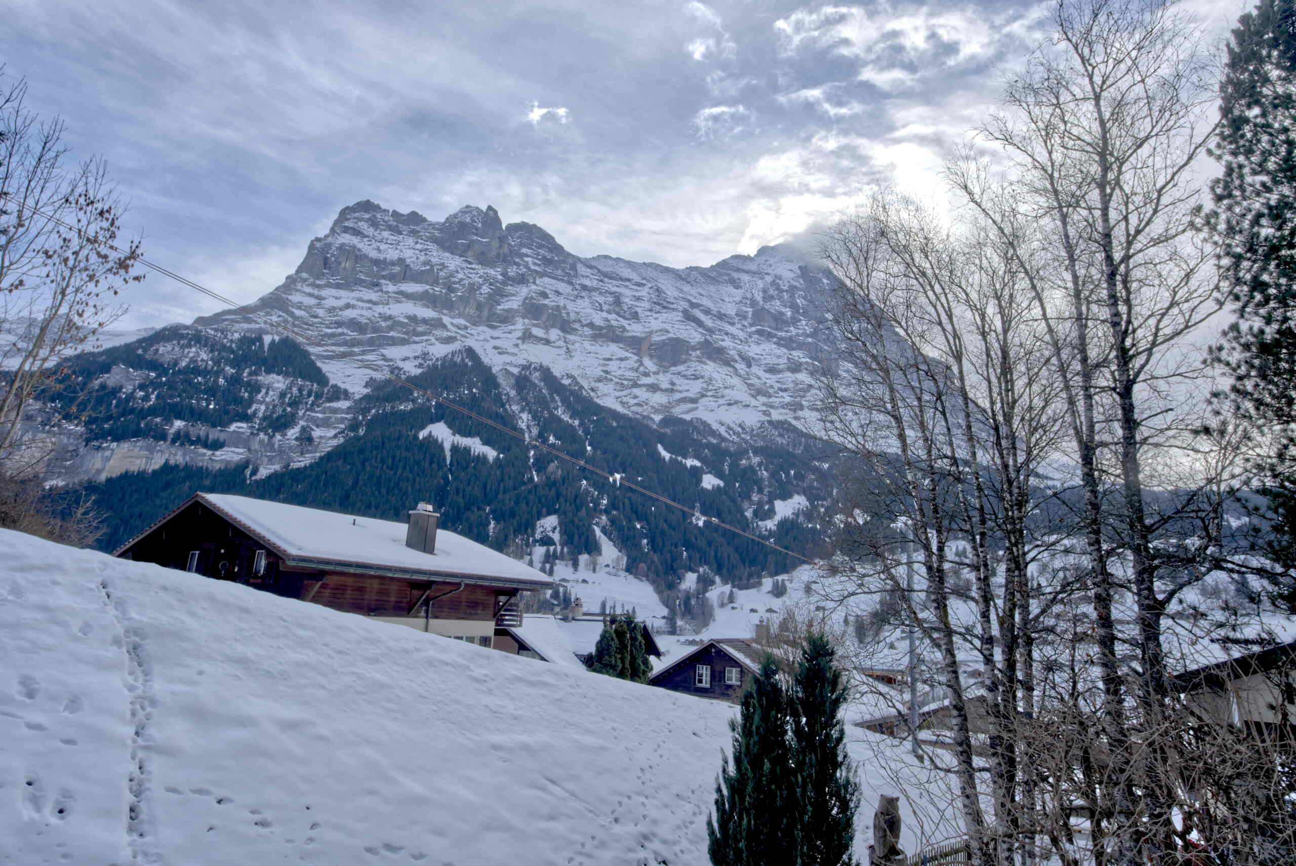 Apartment Dolce Vita - Grindelwald - GRIWA RENT 