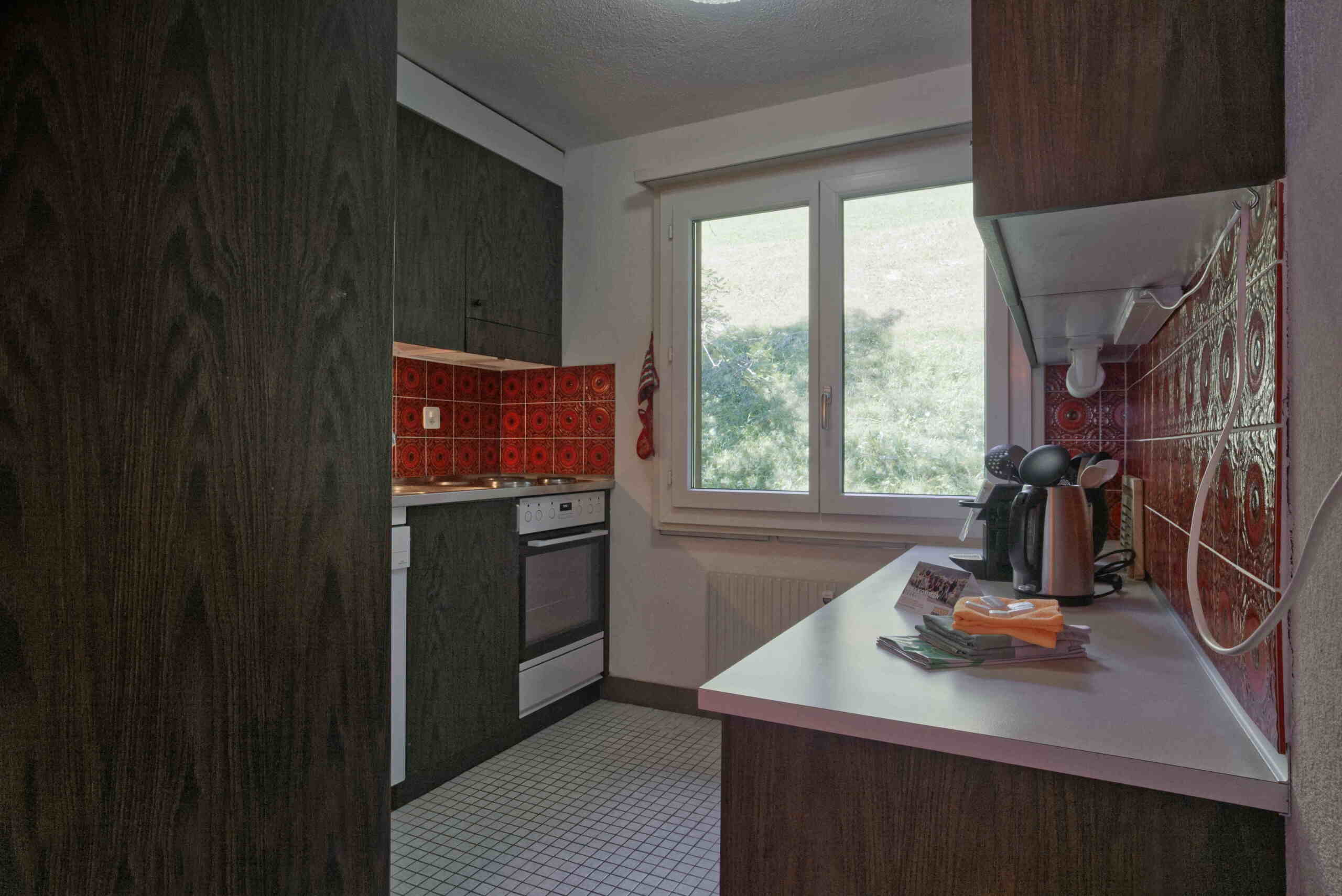 GRIWA RENT - Apartment Bodmisunne - Grindelwald