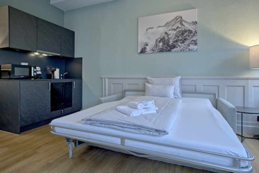 BANK House Apartment L 103 ★★★★ - Interlaken - GRIWA RENT AG
