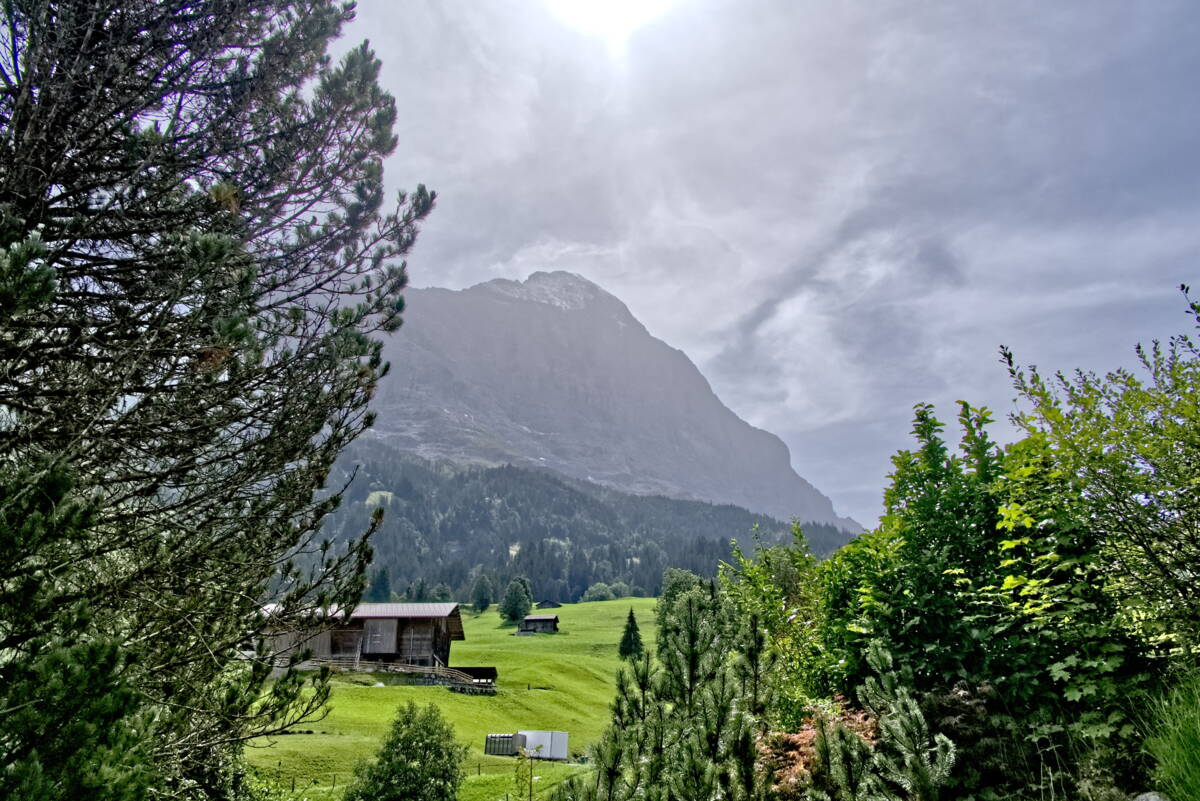 Apartment Bellavista - Grindelwald - GRIWA RENT 